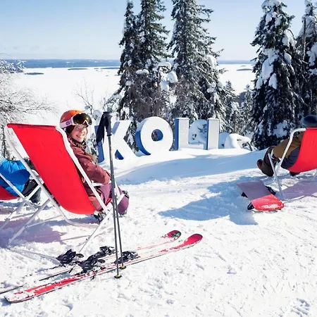 Break Sokos Koli Kolinkylä