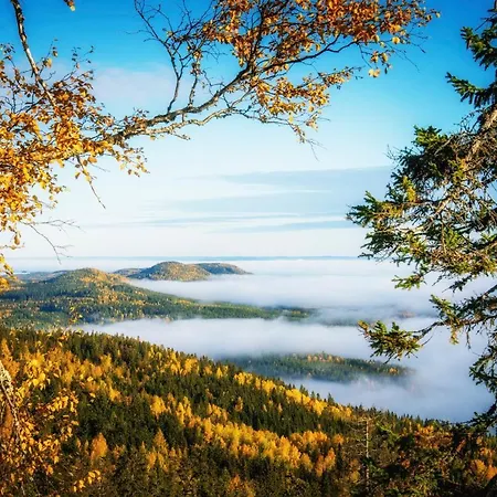 Hotel Break Sokos Koli