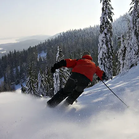 Break Sokos Koli Kolinkylä