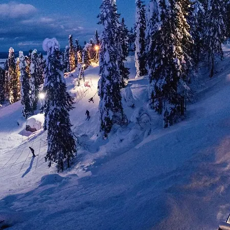 Break Sokos Koli Kolinkylä