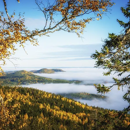 Break Sokos Koli Kolinkylä
