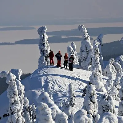 Break Sokos Koli 4* Kolinkylä