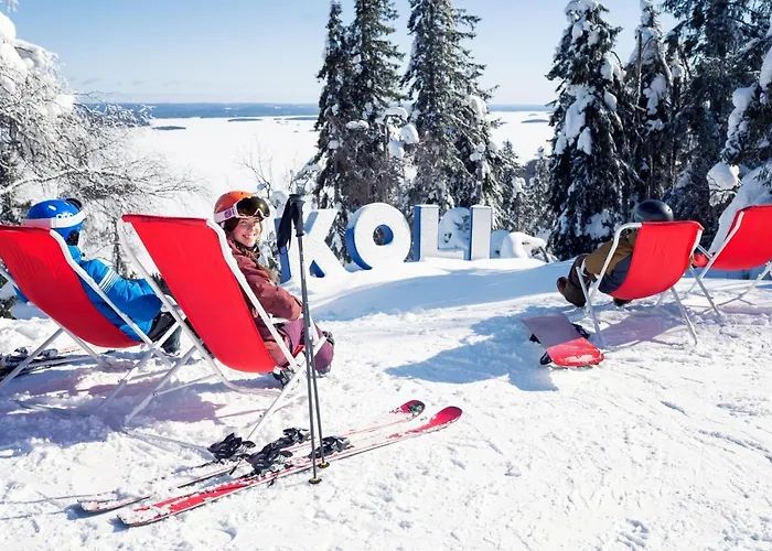 Break Sokos Koli Kolinkylä