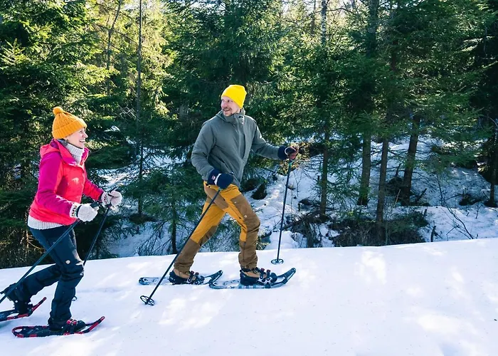 Break Sokos Koli Отель Колинкюла