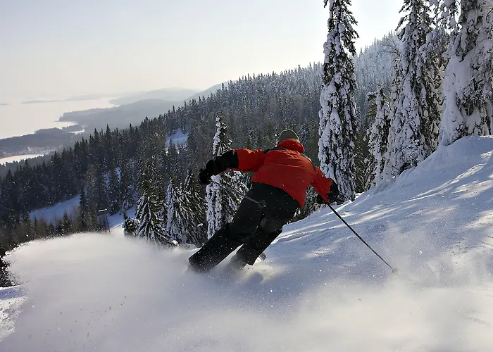Break Sokos Koli Колинкюла