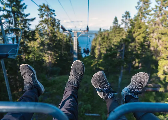 Отель Break Sokos Koli 4*